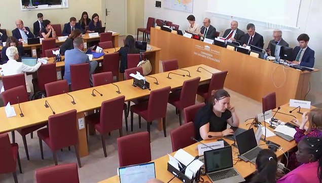 Commission des affaires étrangères : M. Rémy Rioux, dg de l'AFD ; Géopolitique du sport - Mercredi 28 juin 2023