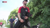 Un soldat blessé et un chien maltraité pour un duo thérapeutique