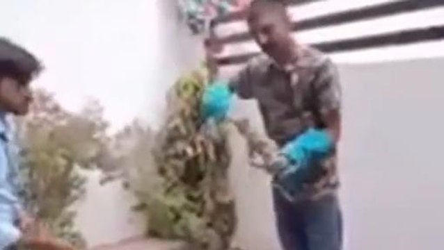 सींधी: मकान में निकला जहरीला मगर गोह, वन विभाग टीम ने किया रेसक्यू