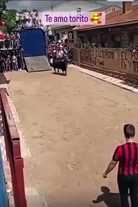 TOP funny video - #10