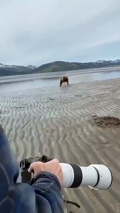 TOP funny video - #9