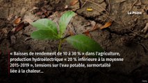 La France n’est « pas prête » à faire face aux effets du changement climatique