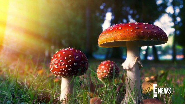 Jaden Smith Says Mom Jada Pinkett Smith Introduced Him to Psychedelics _ E! News