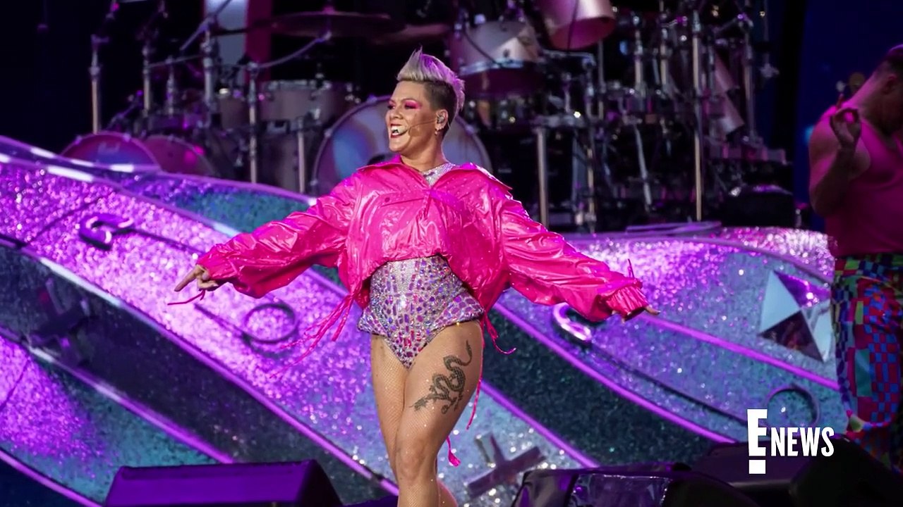 Pink Stunned After Fan Throws Mom's Ashes At Her During Performance _ E