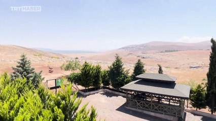 Hatay'da "gazella gazella" türü ceylanların sayısı artıyor