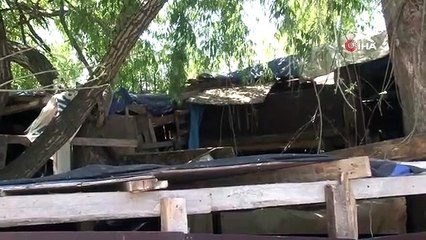 Satacağı 16 kurbanlığı hırsızlara kaptırdı