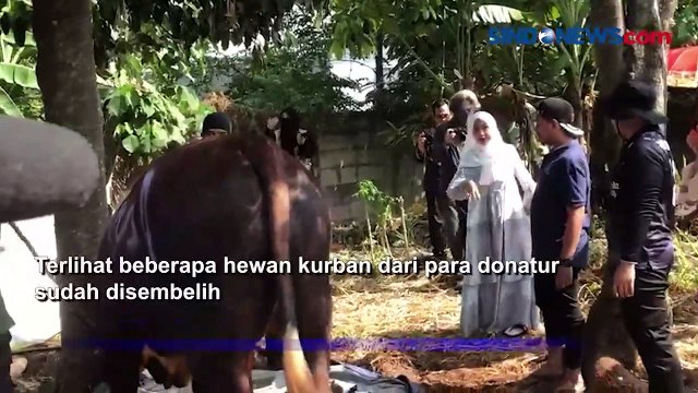 Momen Ria Ricis Nangis Lihat Sapi Jumbonya Disembelih