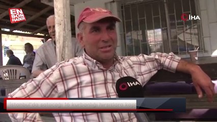 İstanbul'da satacağı 16 kurbanlığı hırsızlara kaptırdı