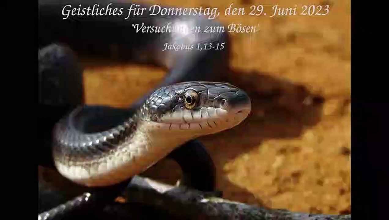 Geistliches für Donnerstag, den 29. Juni 2023