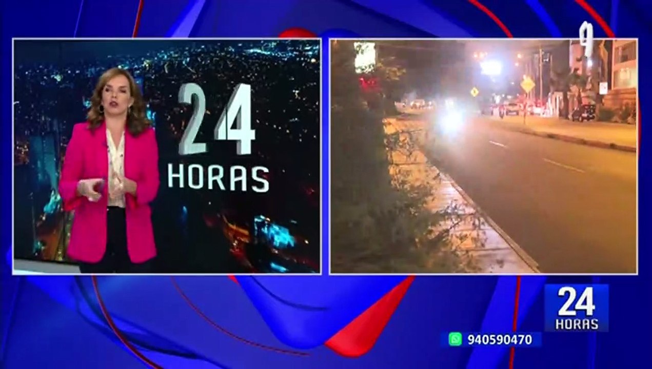 Miraflores: cayó árbol a la altura del puente Armendáriz