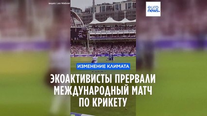 Лондон: экоактивисты прервали международный матч по крикету