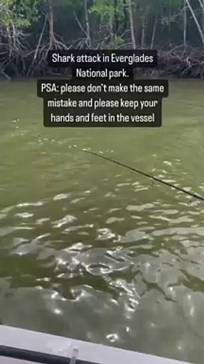 Ce pêcheur se rince les mains dans l'eau et se fait mordre violemment par un requin (Vidéo)