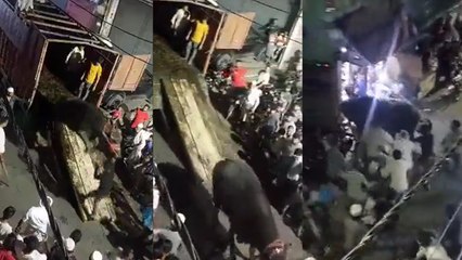 Moradabad: कुर्बानी के लिए ट्रक में भैंसा लेकर आया था मुस्लिम परिवार, भीड़ को देखते ही बेकाबू हुआ