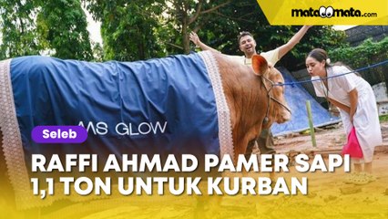 Raffi Ahmad Pamer Sapi 1,1 Ton untuk Kurban di Hari Raya Idul Adha, Bukan Beli Sendiri