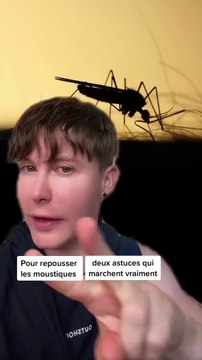 2 astuces pour repousser les moustiques