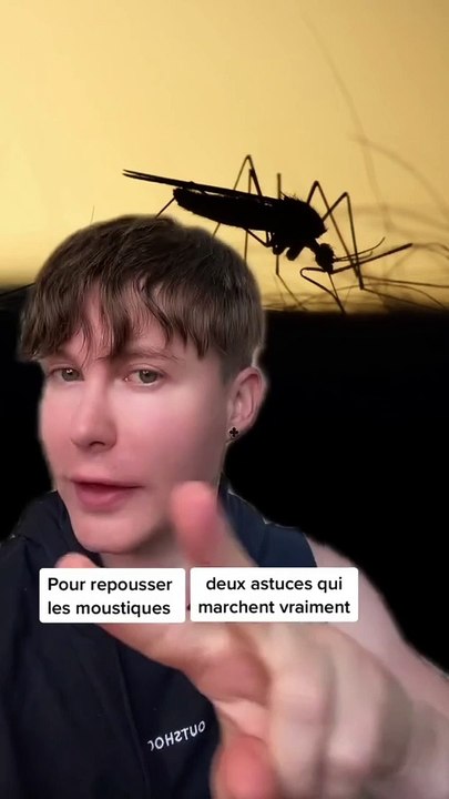 2 astuces pour repousser les moustiques 