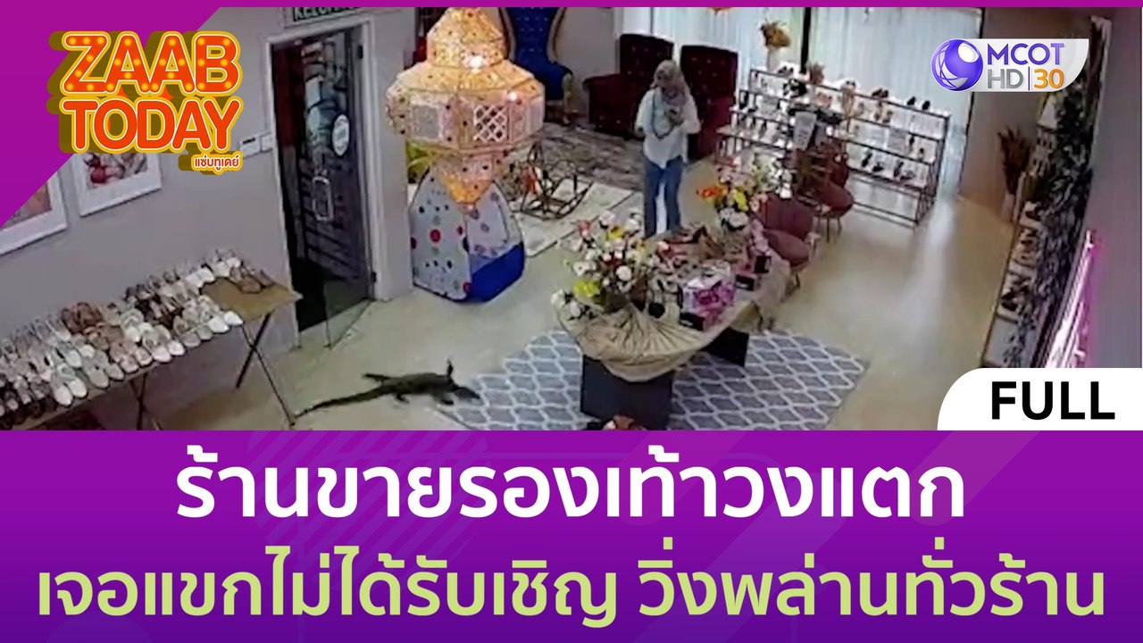 (คลิปเต็ม) ร้านขายรองเท้าวงแตก เจอแขกไม่ได้รับเชิญ วิ่งพล่านทั่วร้าน (29 มิ.ย. 66) | แซ่บทูเดย์