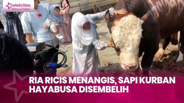 Ria Ricis Menangis, Sapi Kurban Hayabusa Disembelih
