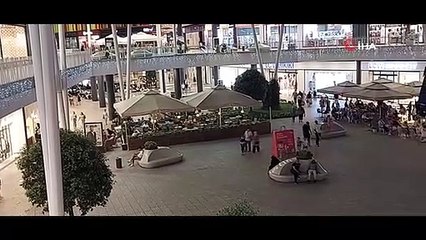 Kocaeli'de sivrisinek istilası