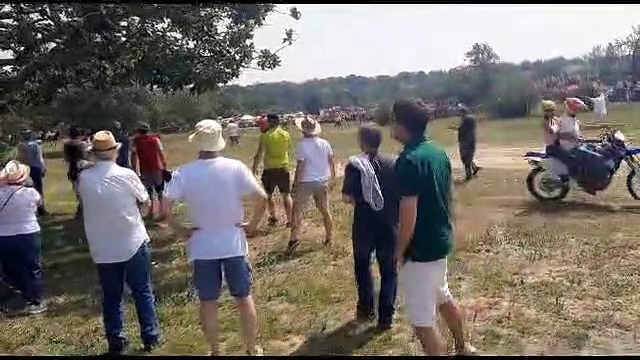 Los novillos rumbo a la Vega de San Millán