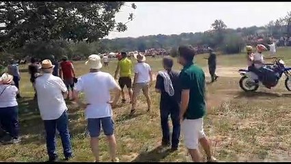 Los novillos rumbo a la Vega de San Millán