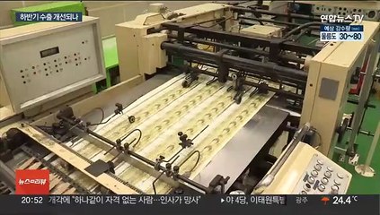 100억 달러 안전장치 마련…"한일 경제관계 정상화"