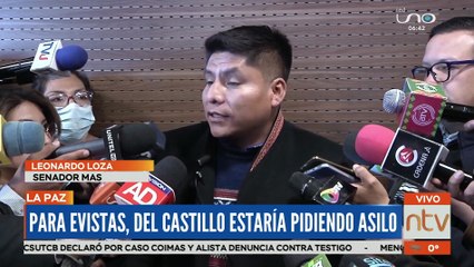 Ministro Del Castillo estaría buscando asilo