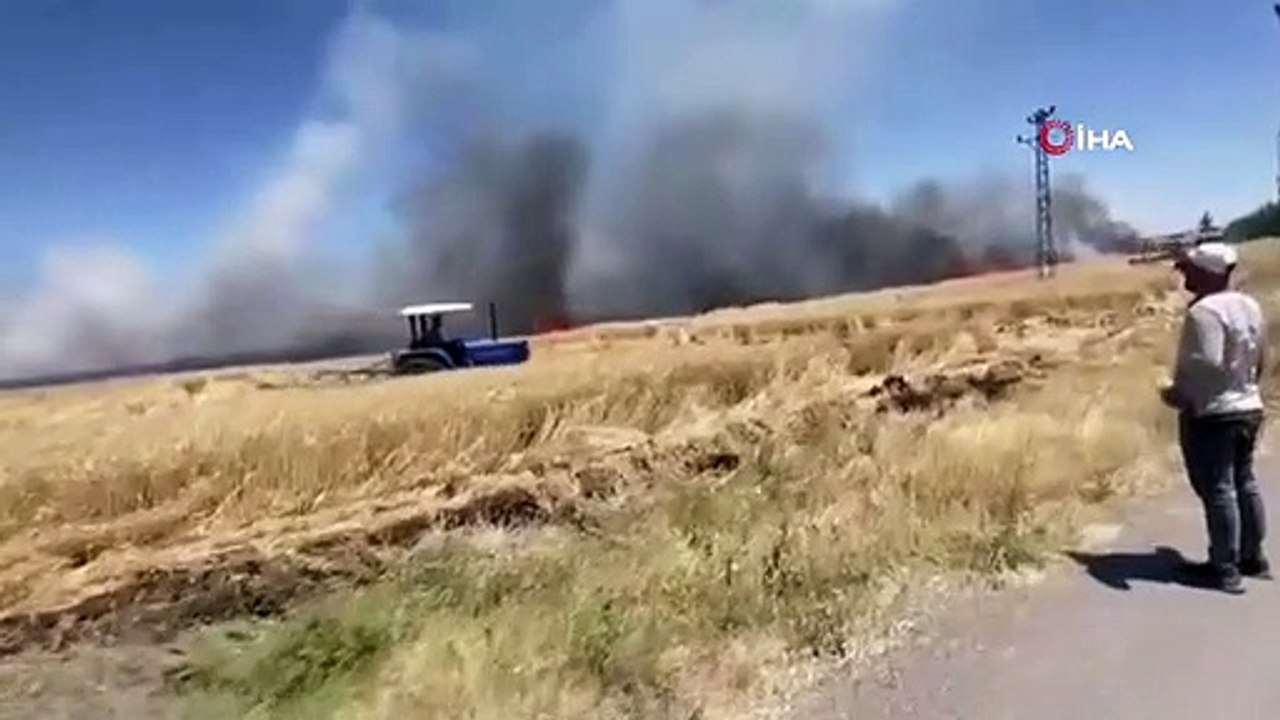 60 acres de terres cultivées dans le district d'Ergani transformés en cendres