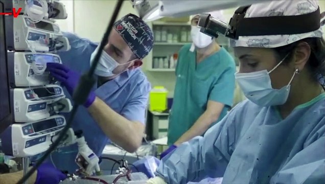 This Artificial Womb Could Help Premature Babies