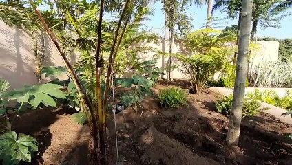 Al Radicepura Garden Festival  di Giarre inaugurato il giardino di Vento e Acqua