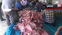 Şırnak’ta 3 asırlık gelenek: 1,5 ton et, her aileye eşit dağıtıldı