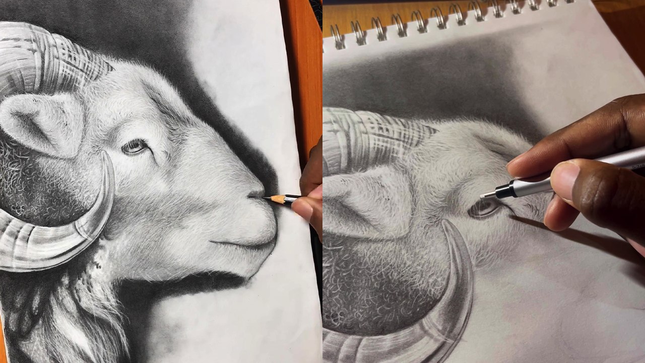 'G.O.A.T draws Goat' - HYPER-REALISTIC, photo-like goat portrait by a gifted Nigerian artist