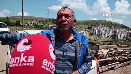 Yozgat'ta Kurbanlık Fiyatları İndirime Gitti