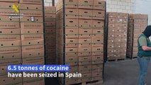 6.5 tonnes of cocaine seized in banana containers entering Spain