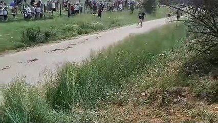 Los novillos a la entrada de Soria