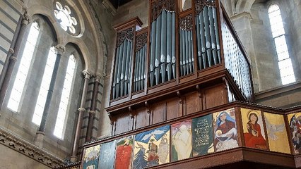 Organista Novara