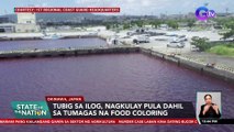 Tubig sa ilog, nagkulay pula dahil sa tumagas na food coloring | SONA