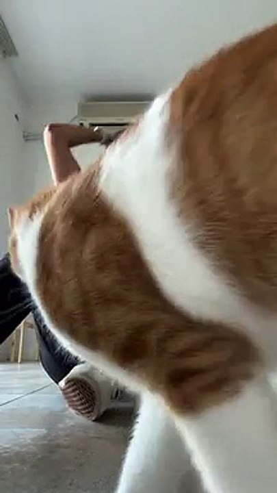 Roger Gets Mad When Grooming Is Finished