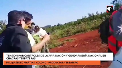 Tensión por controles de la AFIP, Nación y Gendarmería Nacional en chacras yerbateras