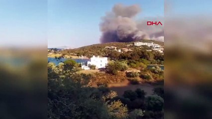 Muğla'nın Datça ilçesinde ormanlık alanda yangın