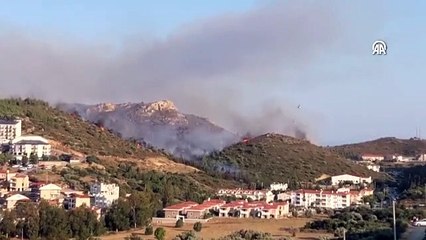 Datça'da ormanlık alanda yangın