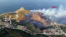 Datça'da orman yangını: Yerleşim yerleri tehdit altında...