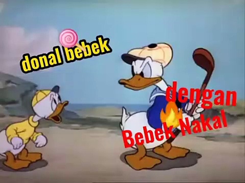 Donald Duck Cartoon