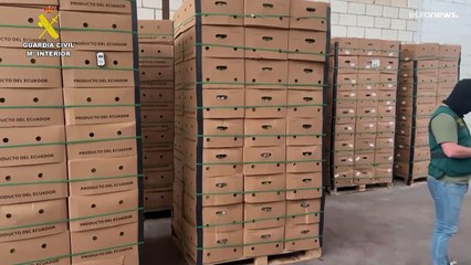 شاهد: ضبط 6.5 طن من الكوكايين في حاويات موز في إسبانيا