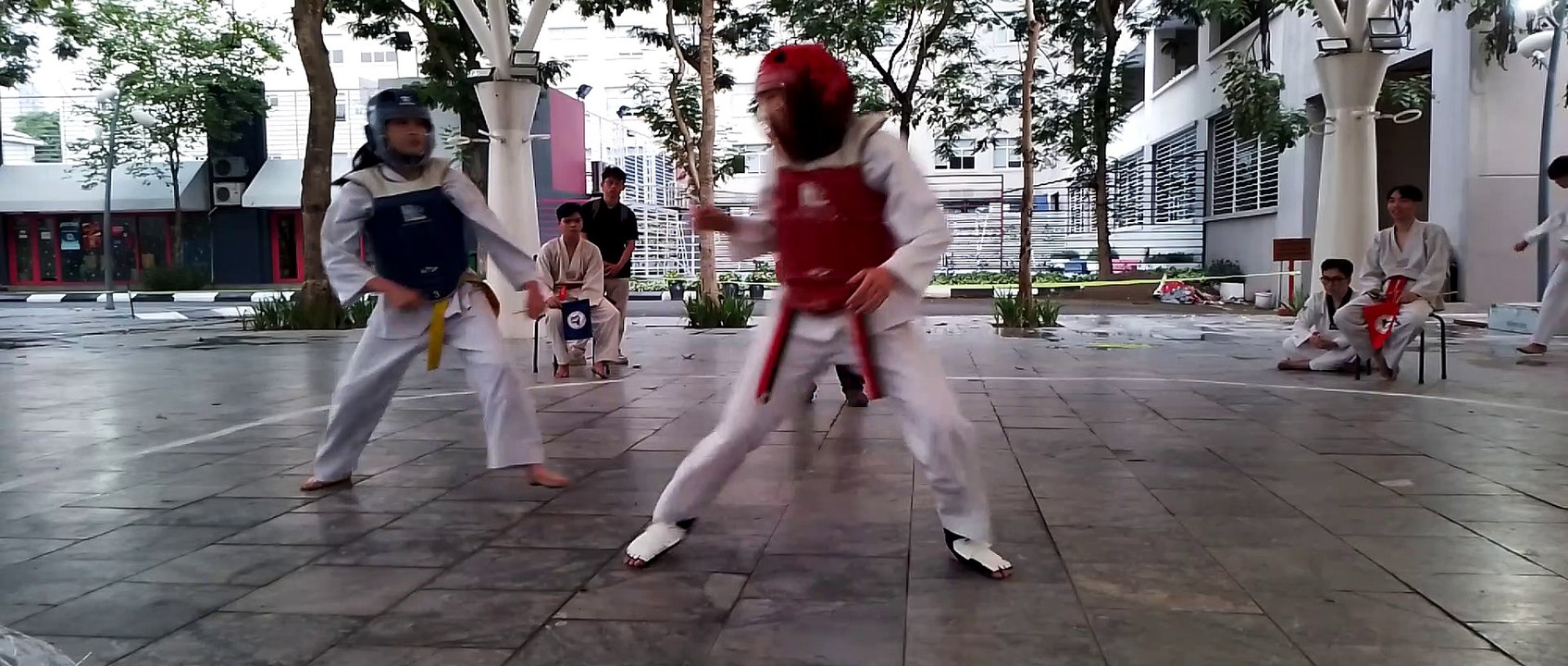 Taekwondo  20230625_175652