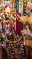 जानकी के हुए भगवान जगन्नाथ, अलौकिक विवाह के साक्षी बने श्रद्धालु, देखे वीडियो