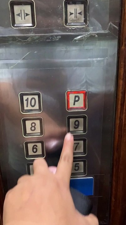 Cat Patiently Waits For His Floor