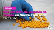 Más del 80% de usua­rios de dro­gas en Nue­va York usan fen­ta­ni­lo