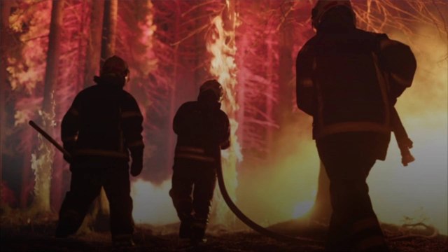 International Firefighters Join Forces to Fight Canadian Wildfires