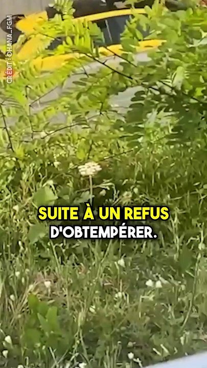 Que penses-tu de cette histoire ?